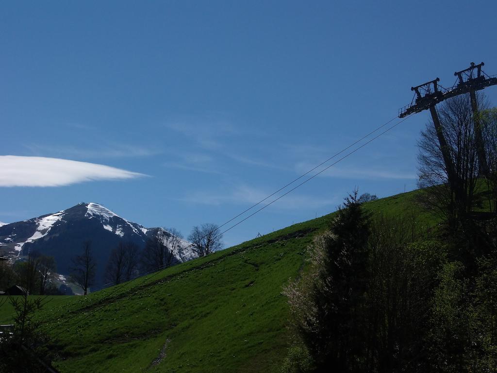 Haus Bergheim Apartment Saalbach-Hinterglemm Bagian luar foto